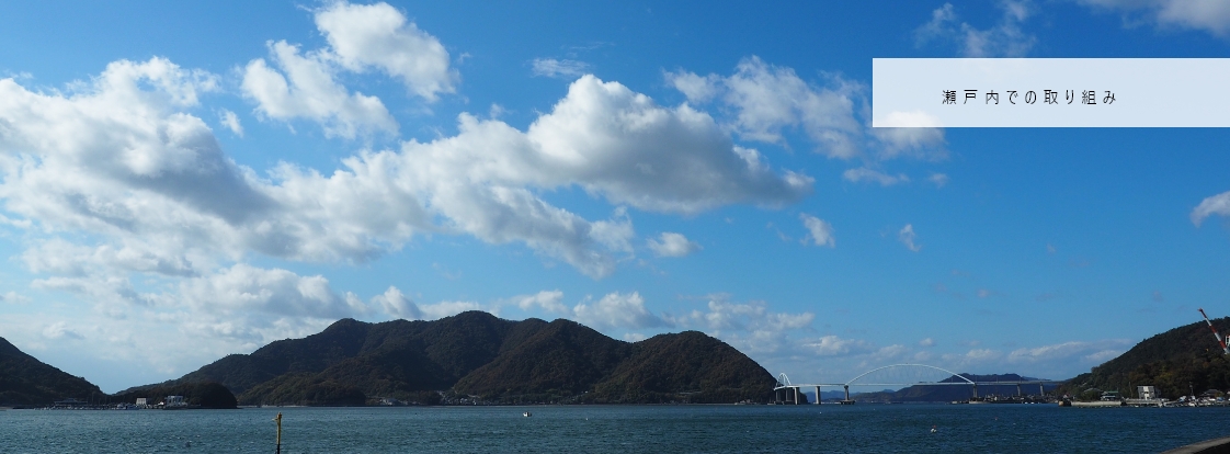 瀬戸内での取り組み