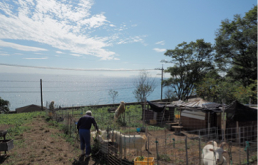 サスティナブル画像